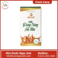 Nấm Đông Trùng Hạ Thảo Hector