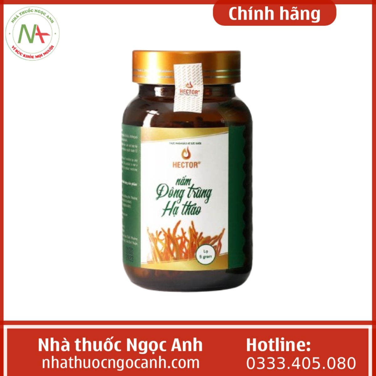 Nấm Đông Trùng Hạ Thảo Hector