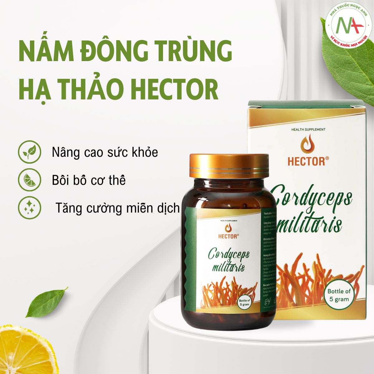 Nấm Đông Trùng Hạ Thảo Hector