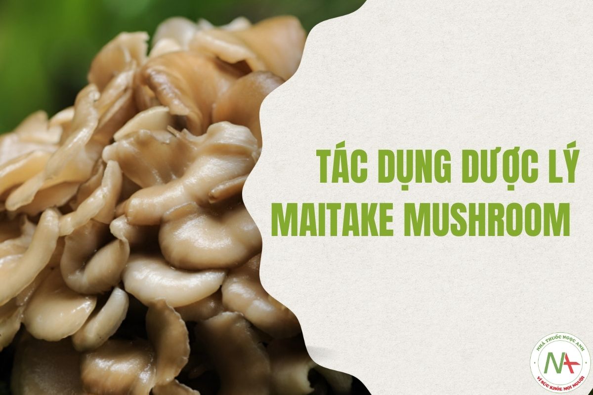 Tác dụng của Maitake Mushroom