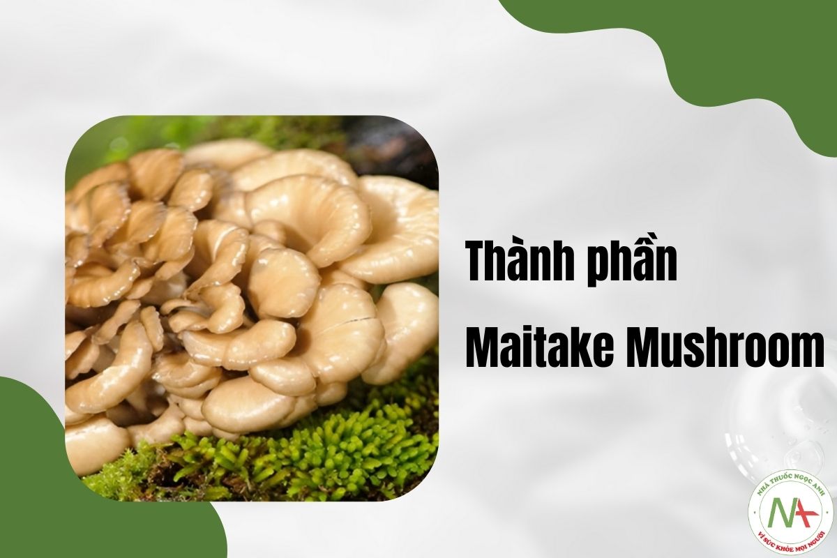 Thành phần Maitake Mushroom