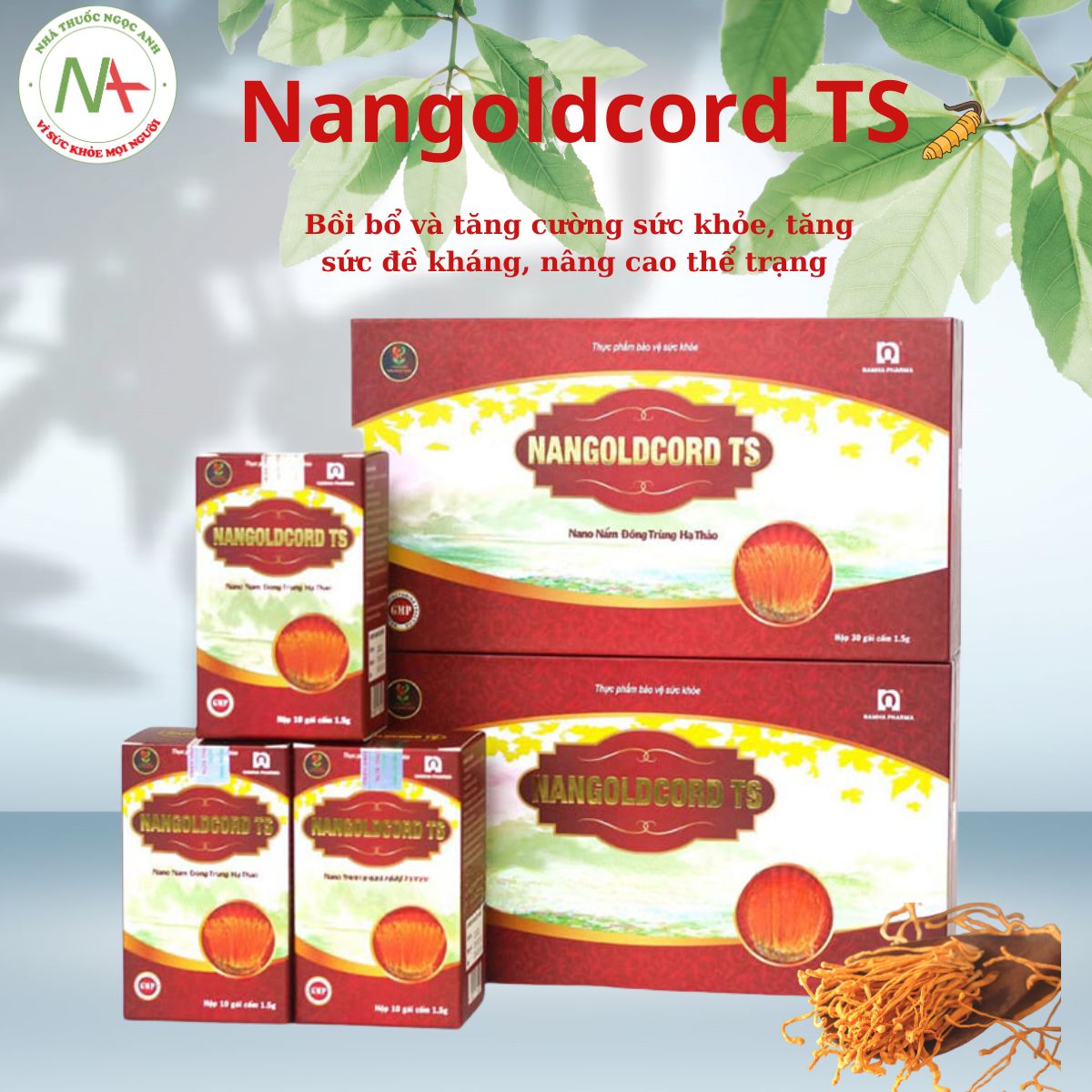 Nangoldcord TS