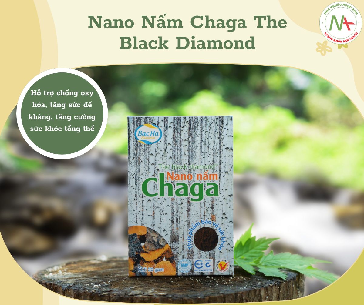 Nano Nấm Chaga The Black Diamond 20g