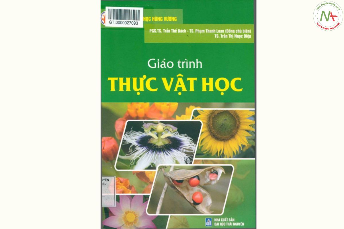 PDF sách Giáo trình thực vật học