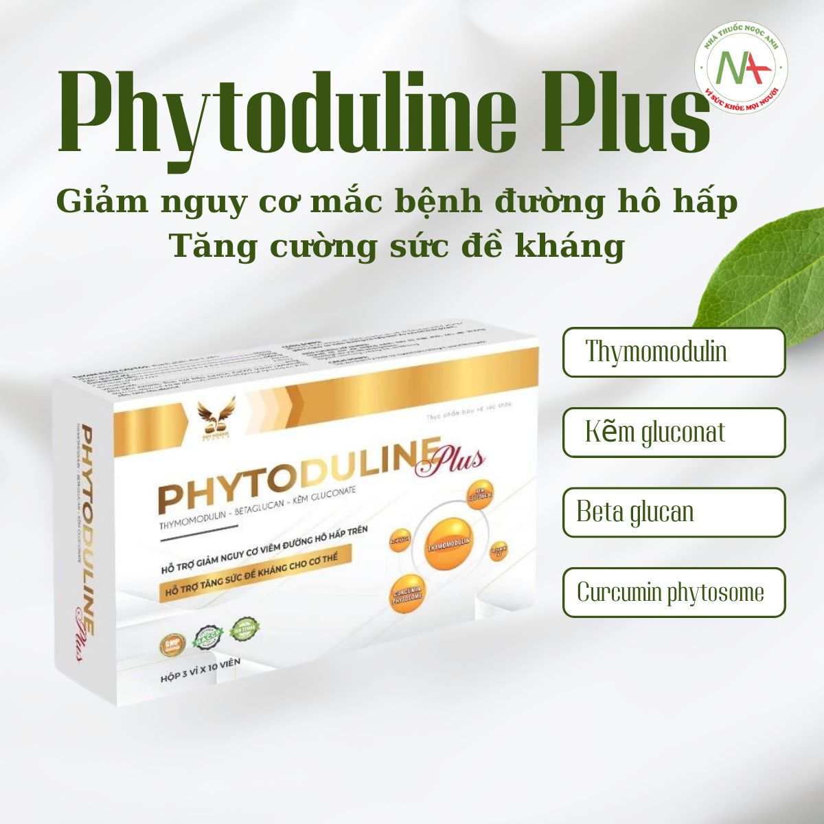 Phytoduline Plus có tác dụng gì?