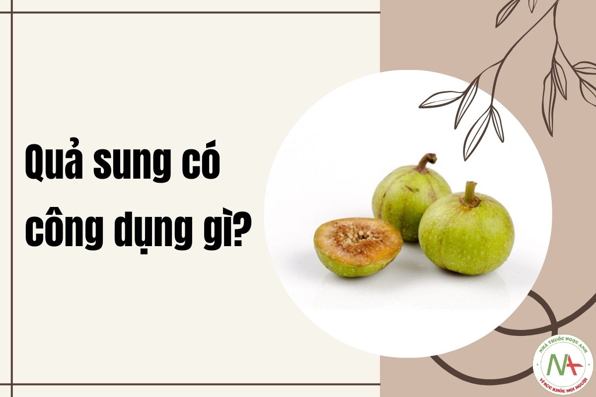 Quả Sung có tác dụng gì?