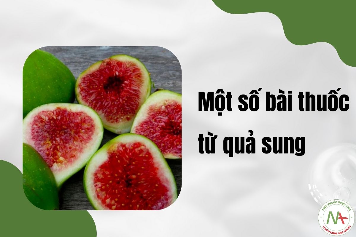 Một số bài thuốc từ Quả Sung