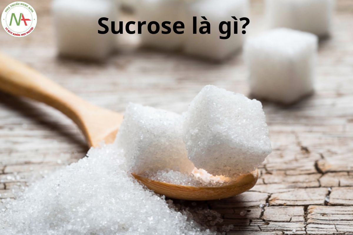 Sucrose là gì?