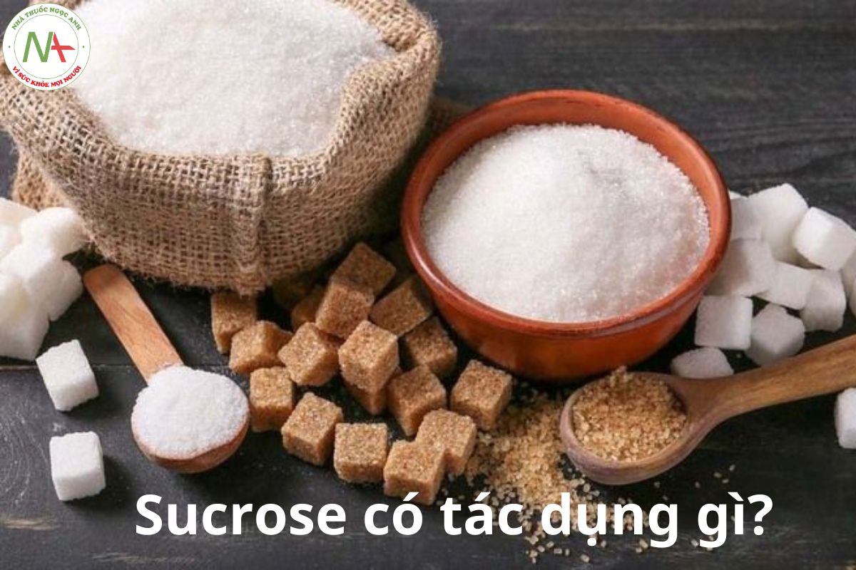 Sucrose có tác dụng gì?