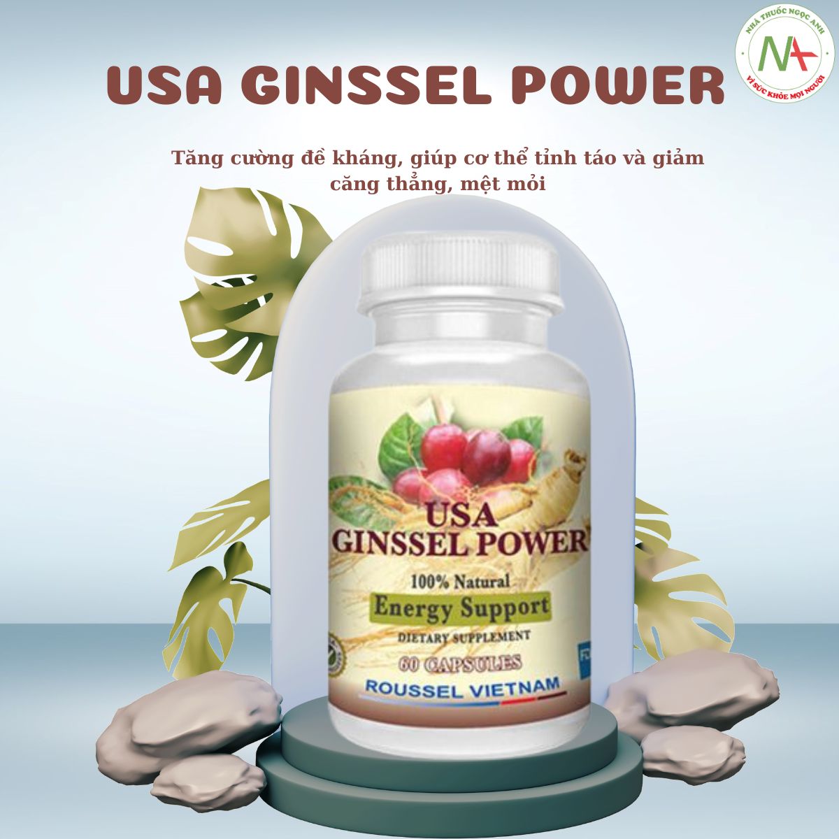 Usa Ginssel Power