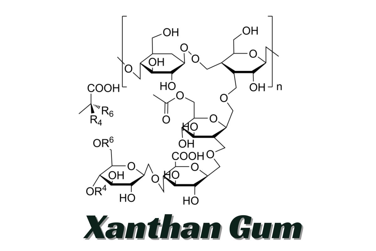 Xanthan Gum