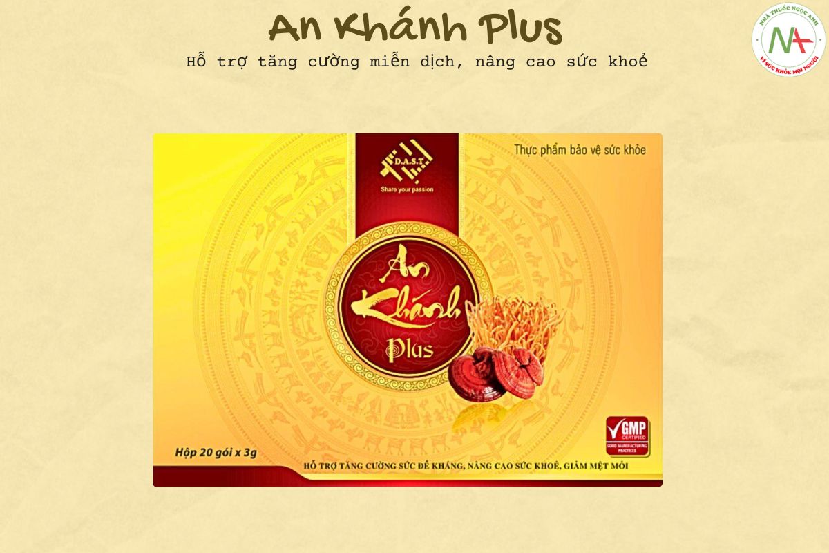 An Khánh Plus