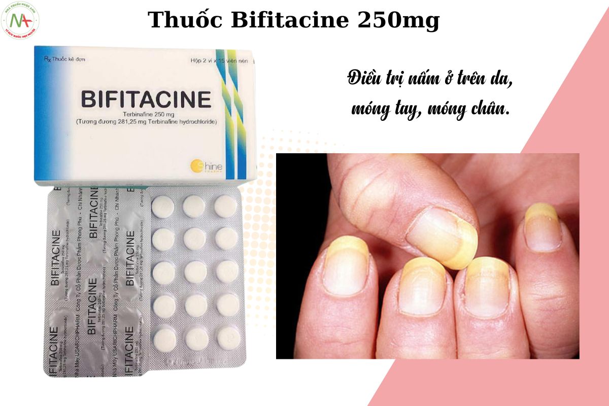 Chỉ định của thuốc Bifitacine 250mg