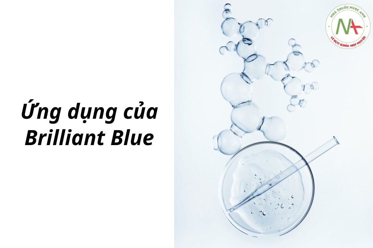 Ứng dụng của Brilliant Blue