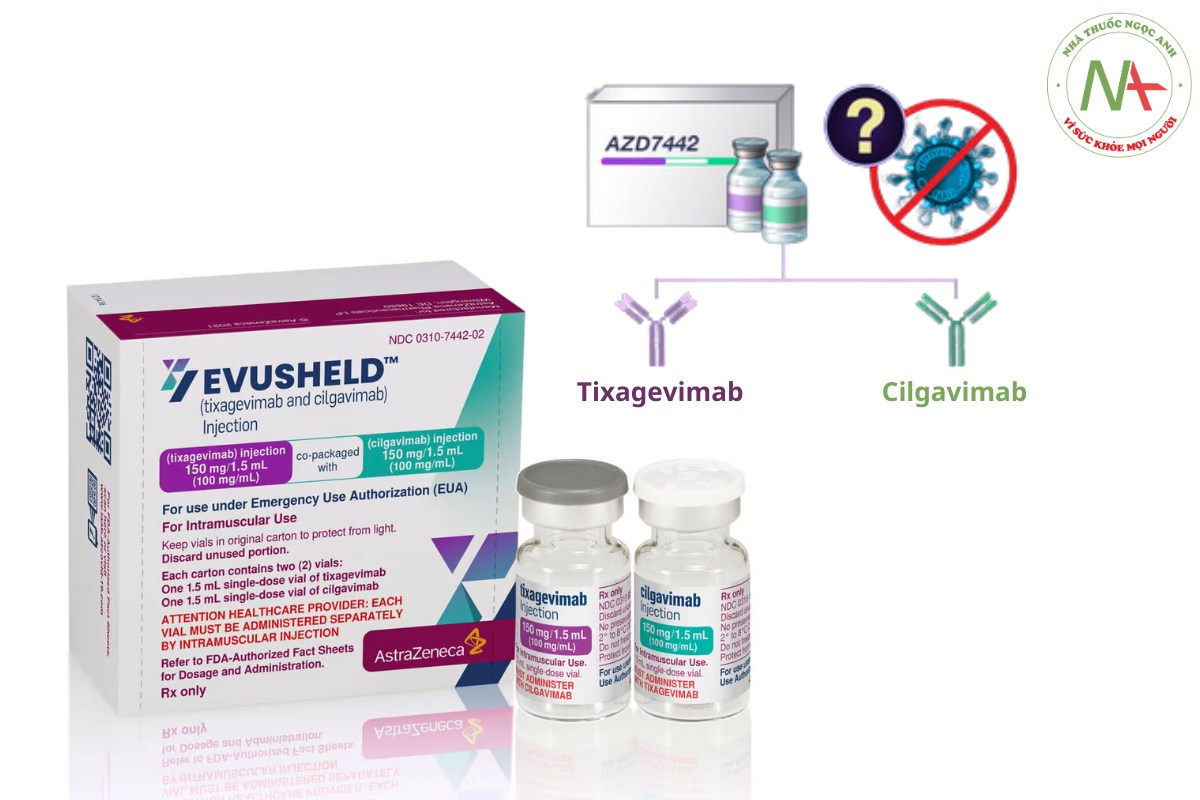 Dạng bào chế của Cilgavimab