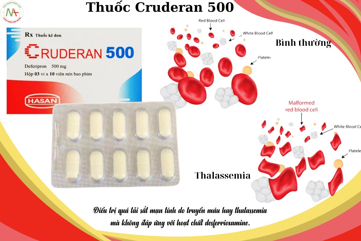 Chỉ định của thuốc Cruderan 500