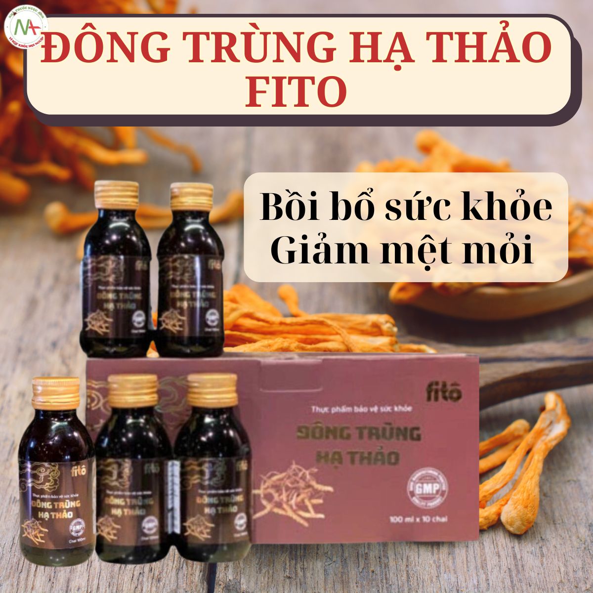 Đông Trùng Hạ Thảo Fito