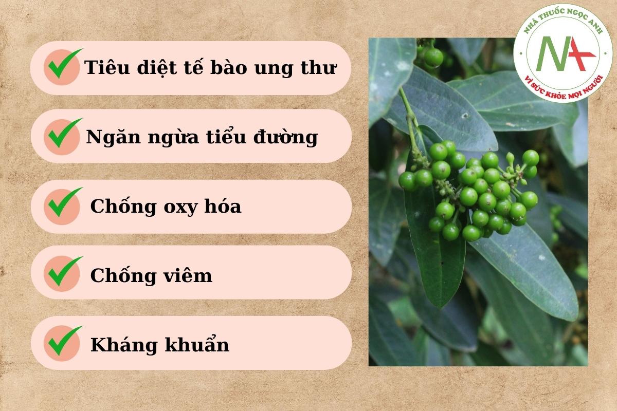 Dược liệu Màng tang