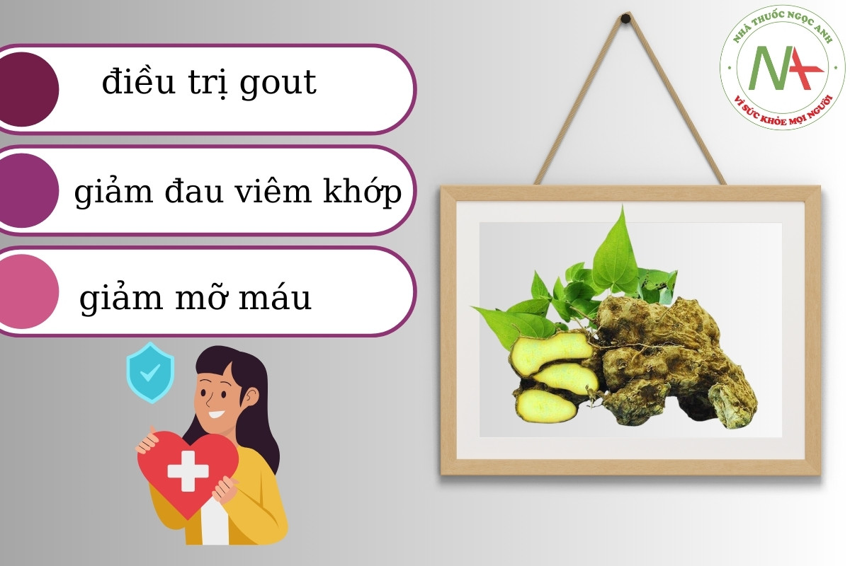 Dược liệu Nần Nghệ