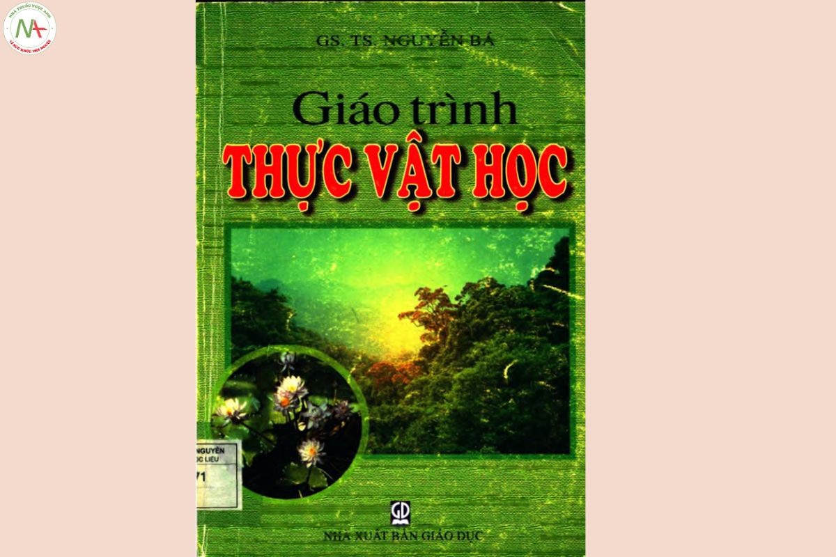 giao-trinh-thuc-vat-hoc