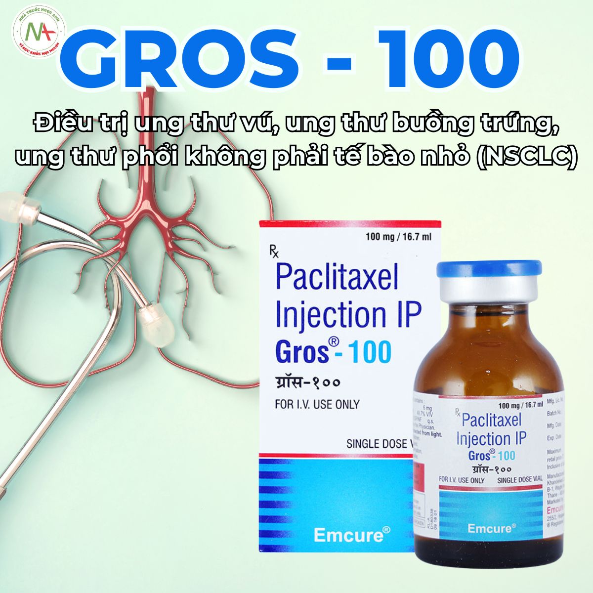 Gros-100mg