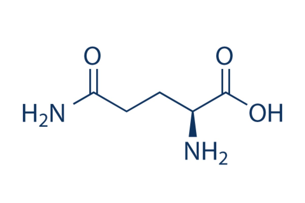 L-Glutamin