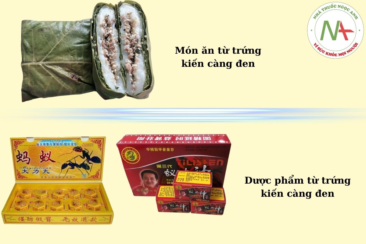 Sản phẩm từ trứng Kiến Càng Đen