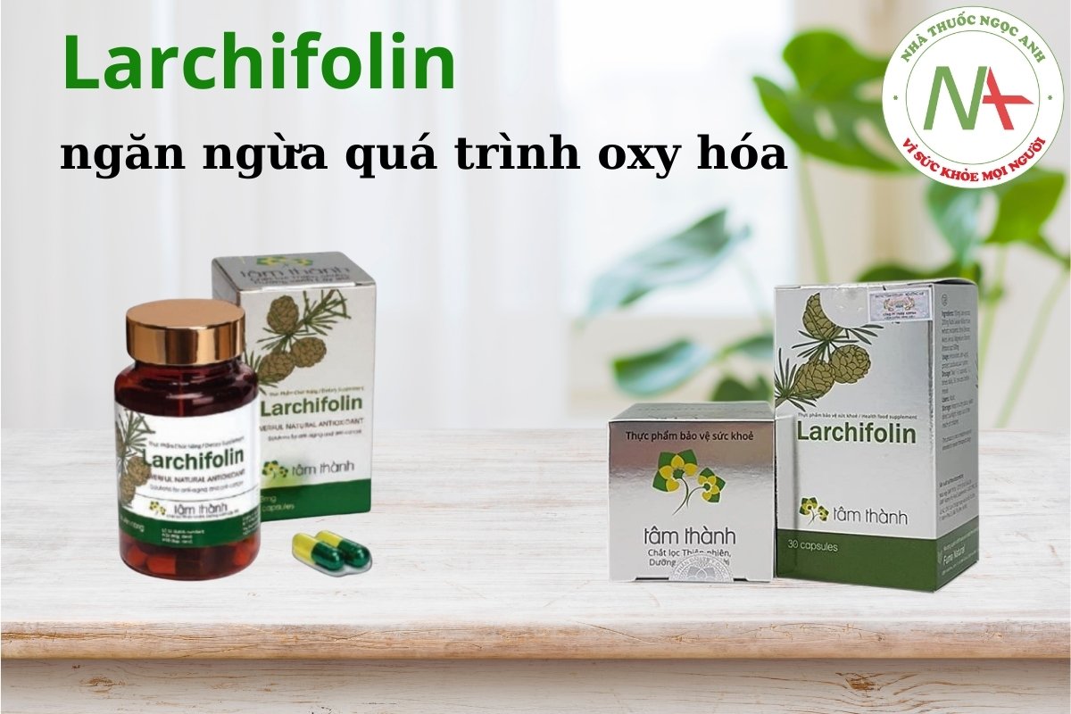 Larchifolin ngăn ngừa quá trình oxy hóa