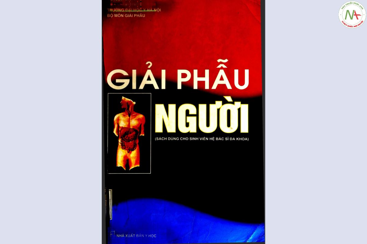 pdf sách Giải phẫu người