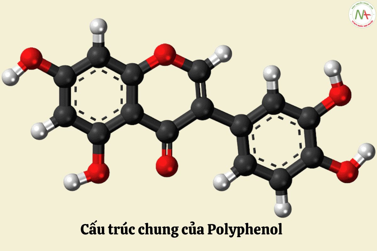 Cấu trúc chung của Polyphenol