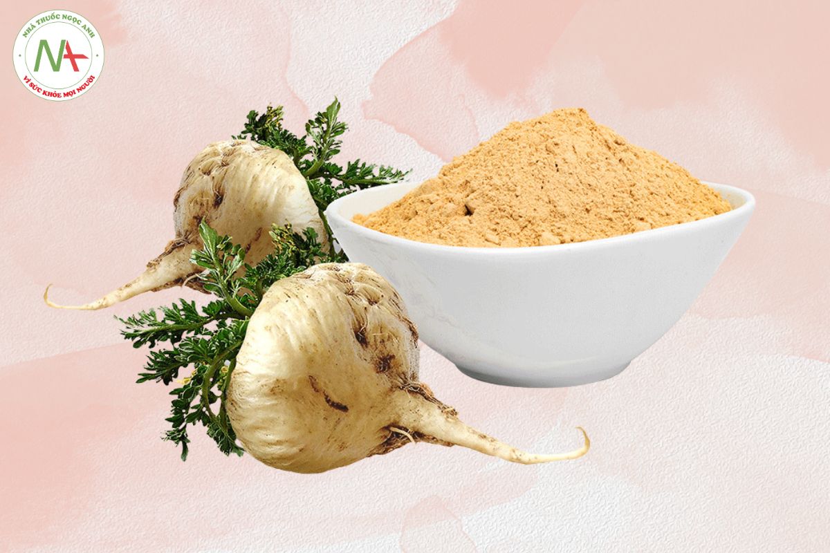 Rễ Maca dùng dưới dạng bột