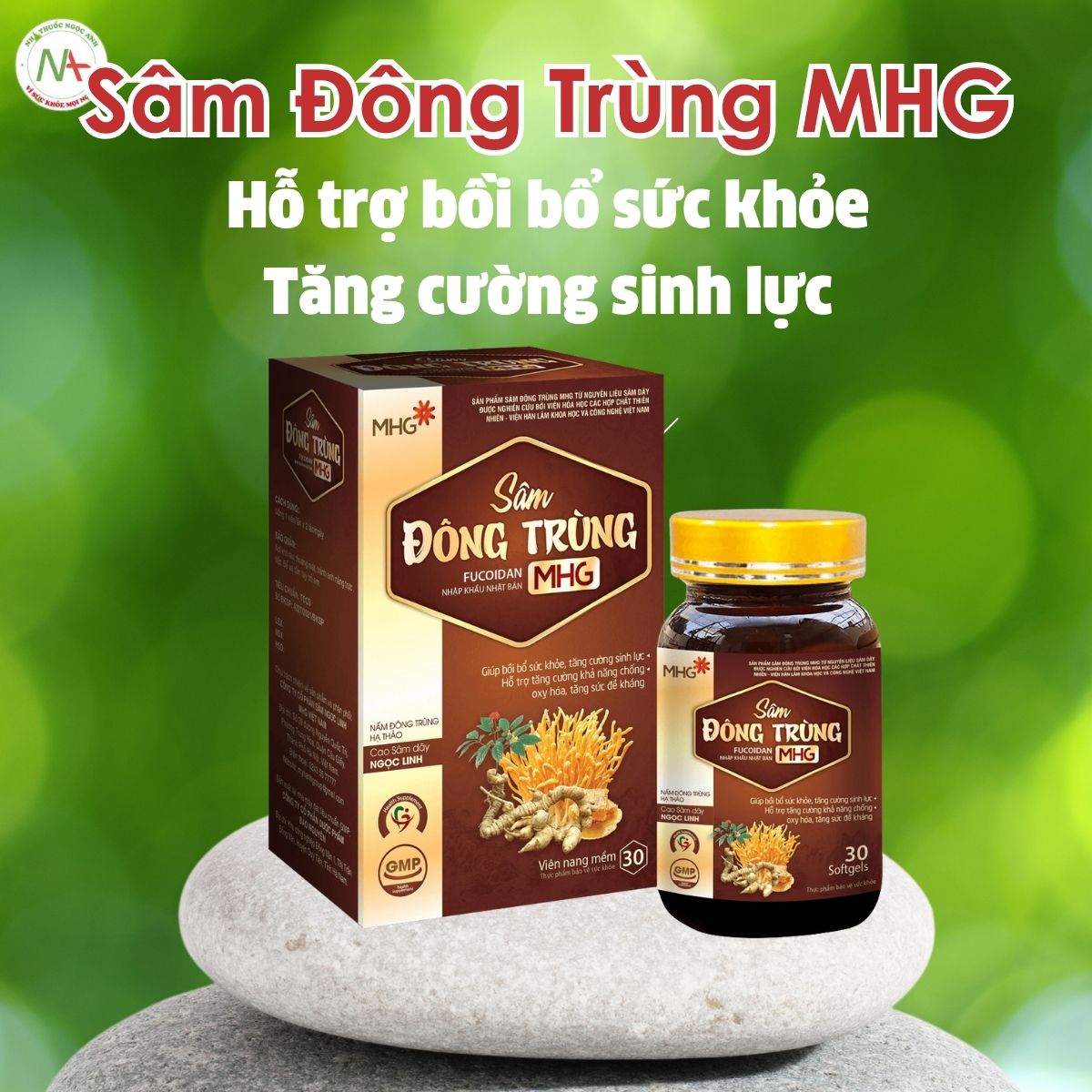 Sâm Đông Trùng MHG