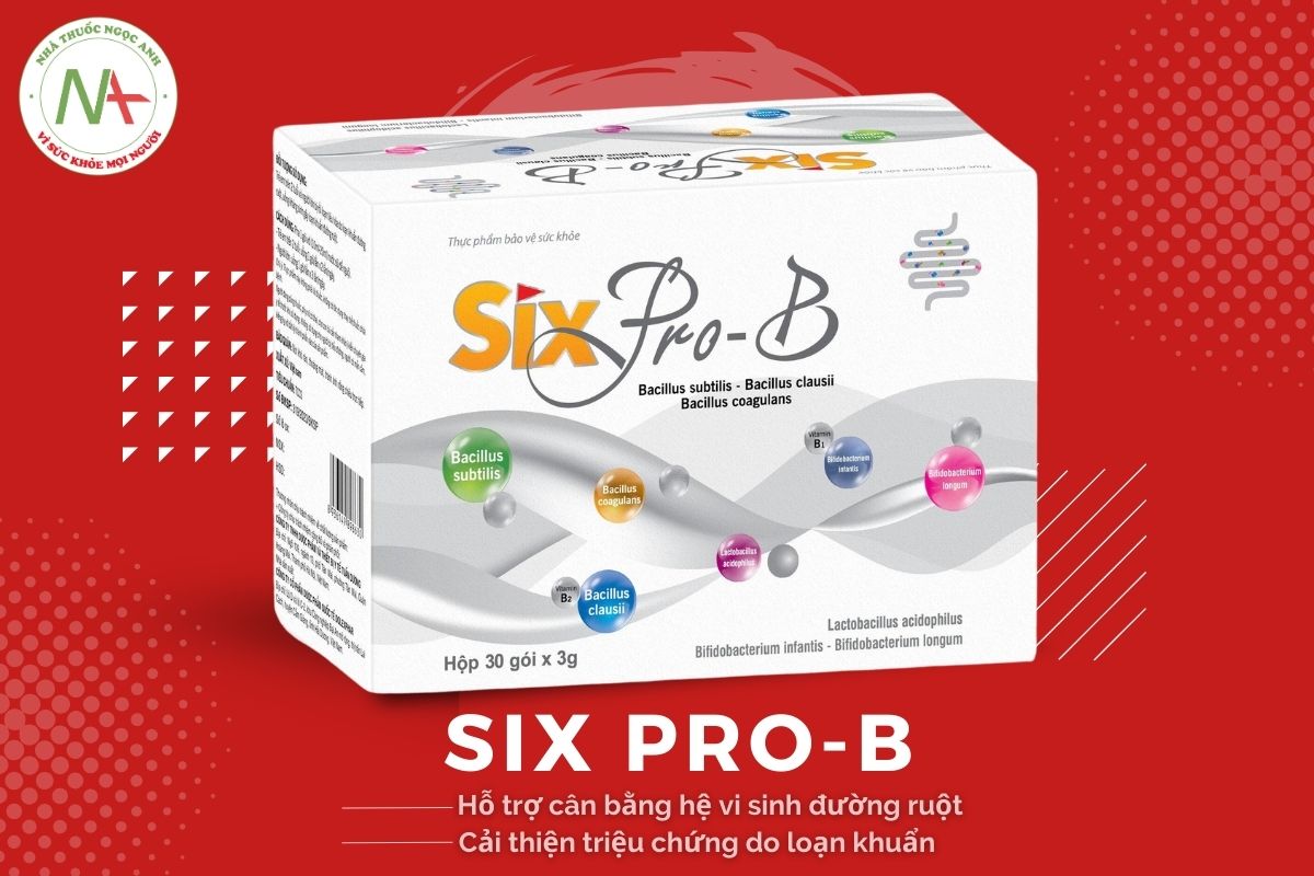 Six Pro-B hỗ trợ cân bằng hệ vi sinh đường ruột, cải thiện triệu chứng do loạn khuẩn