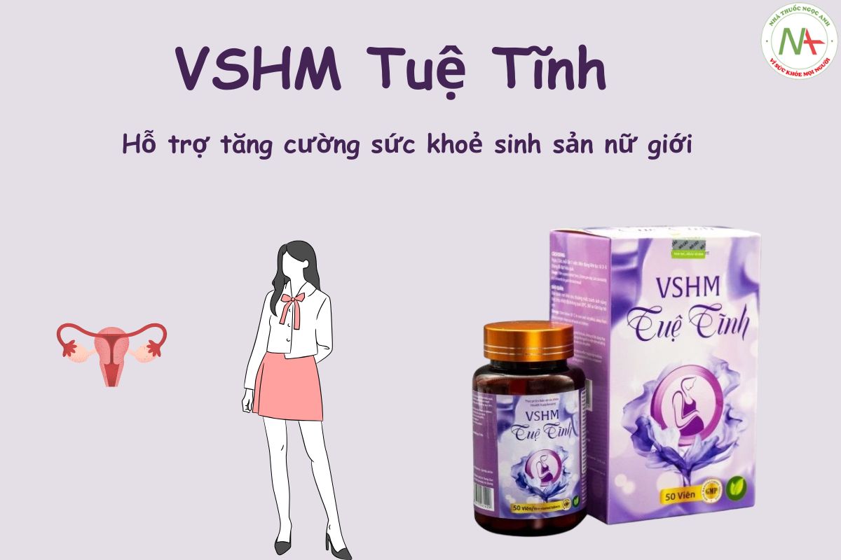VSHM Tuệ Tĩnh