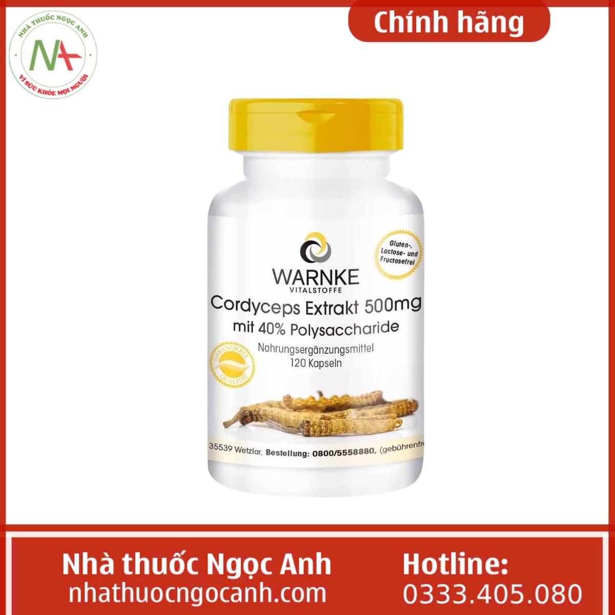 Warnke Cordyceps Extrakt 500mg