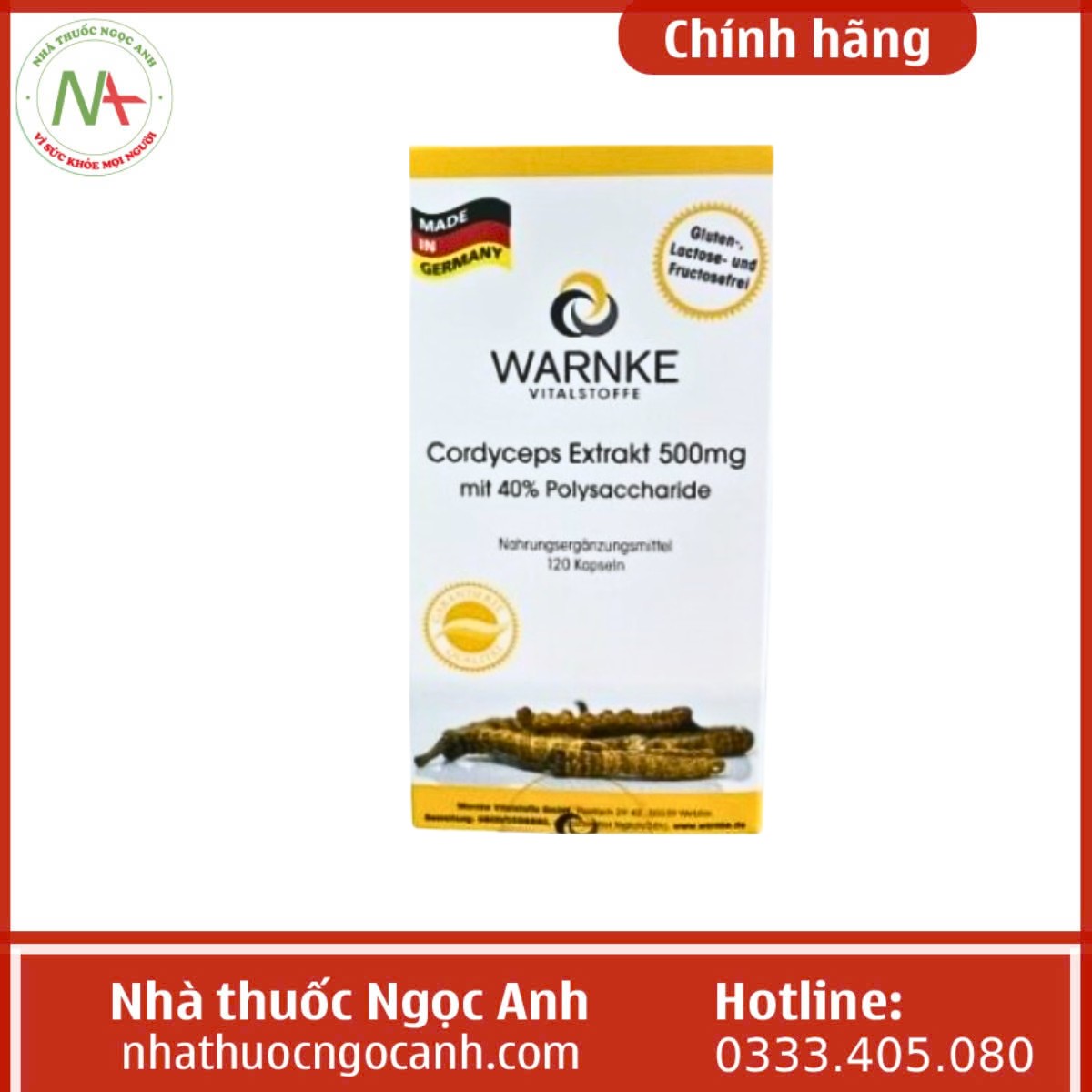 Warnke Cordyceps Extrakt 500mg