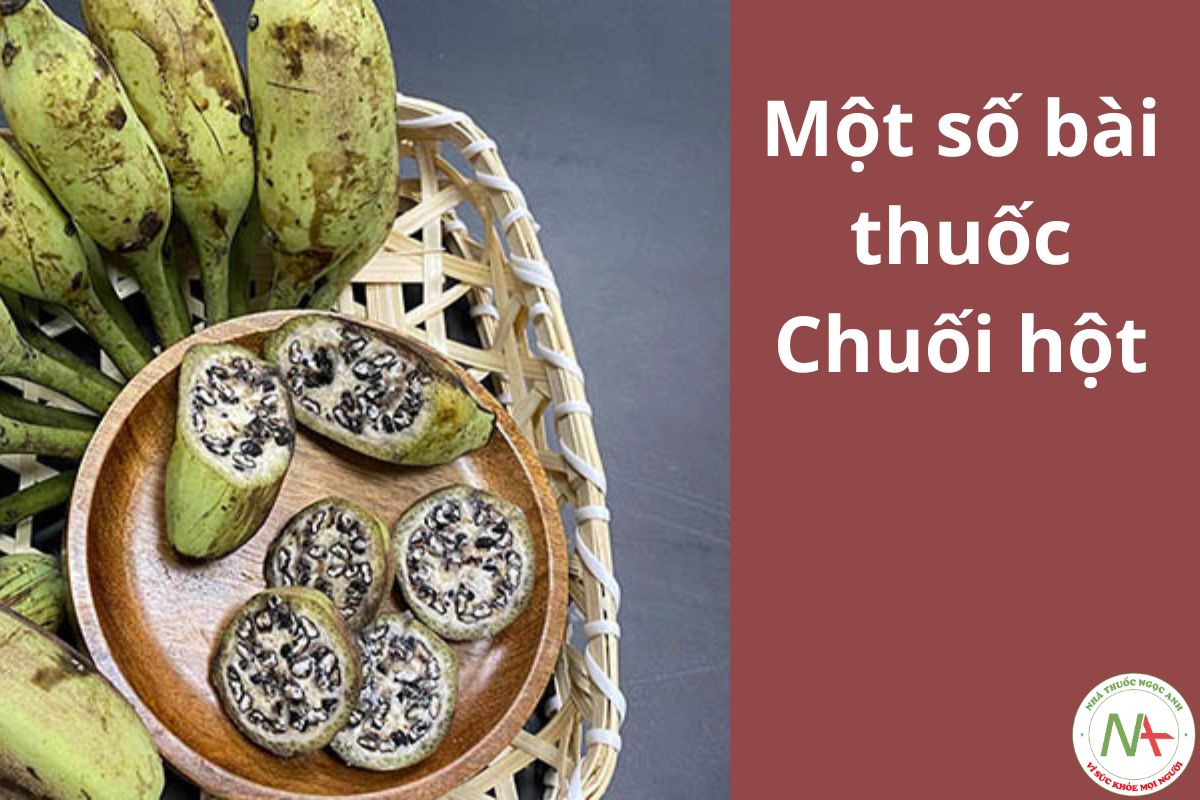 Một số bài thuốc Chuối hột