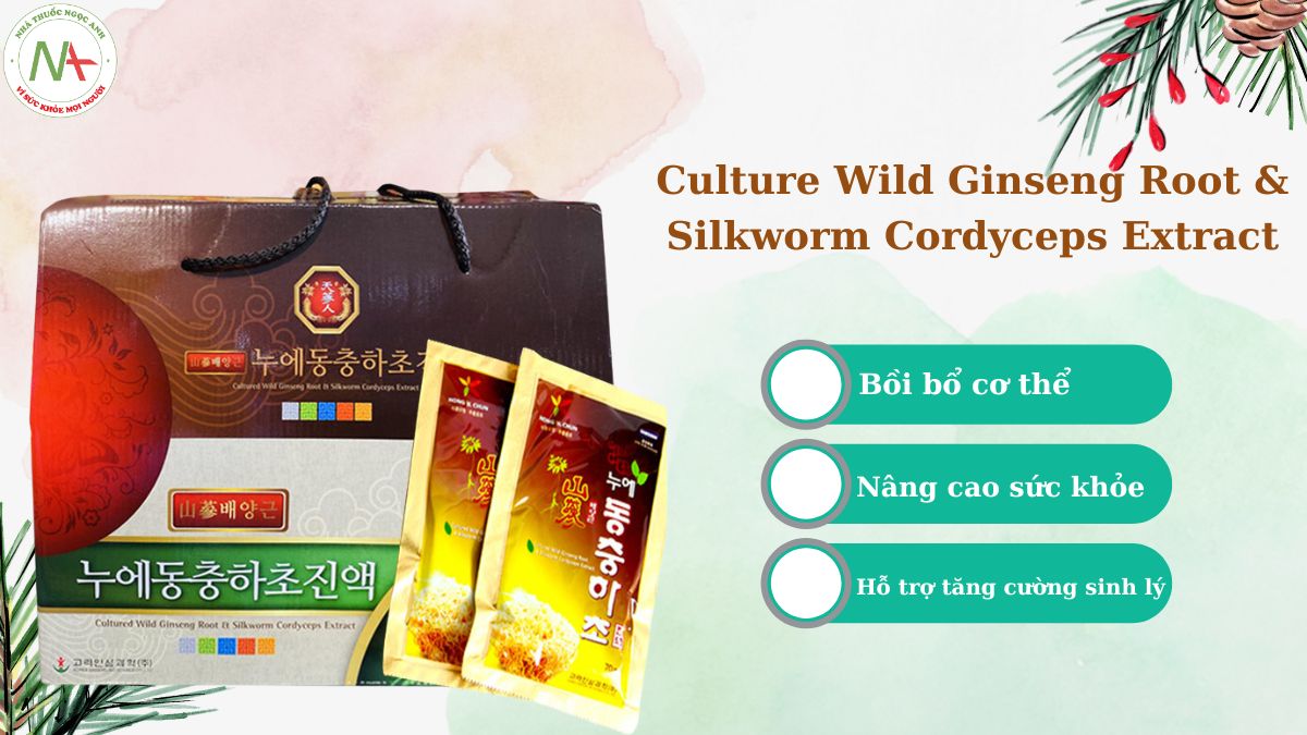 Culture Wild Ginseng Root & Silkworm Cordyceps Extract