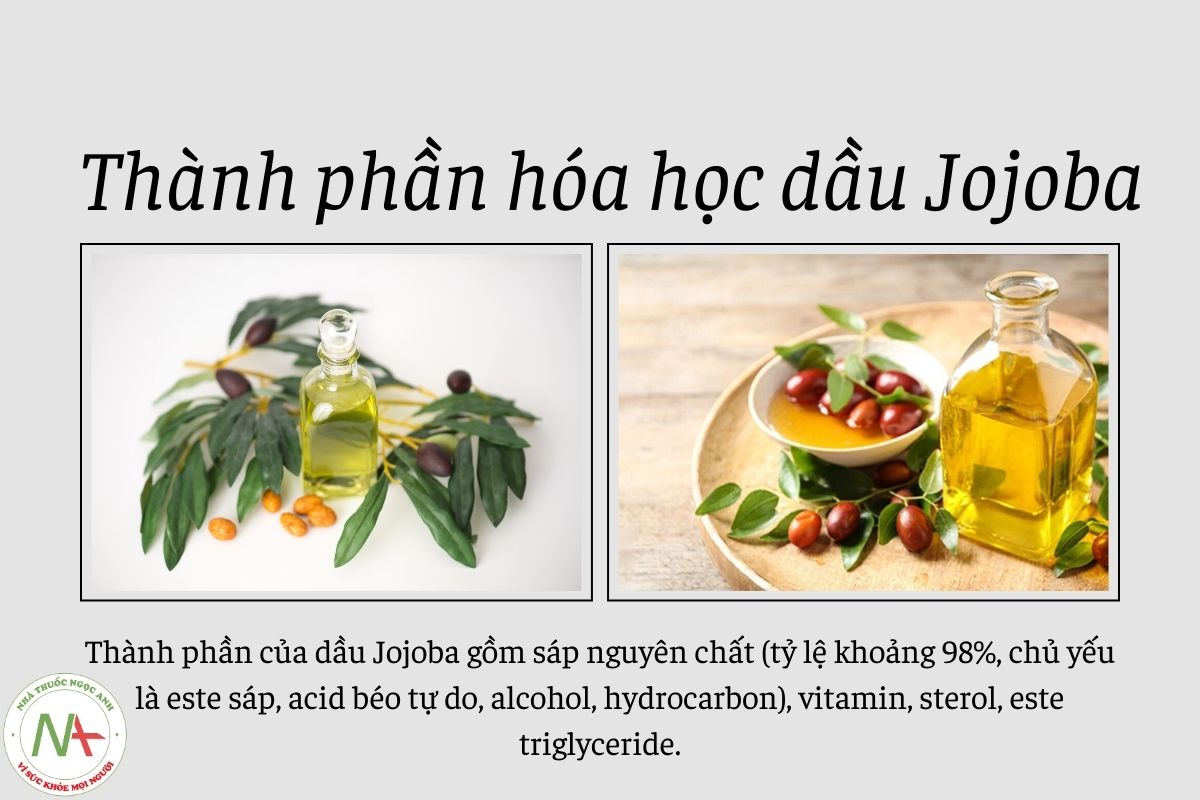 Thành phần hóa học Dầu Jojoba