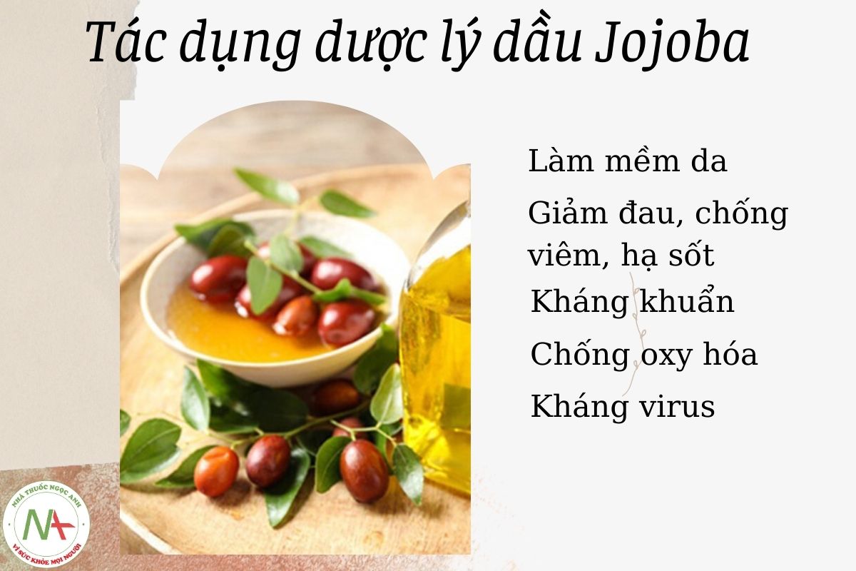 Tác dụng dược lý Dầu Jojoba