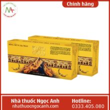 Đông Trùng Hạ Thảo Kozo Gold