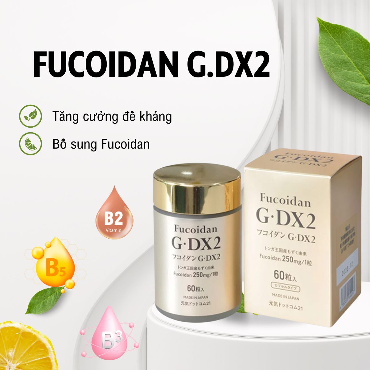 Fucoidan G.DX2