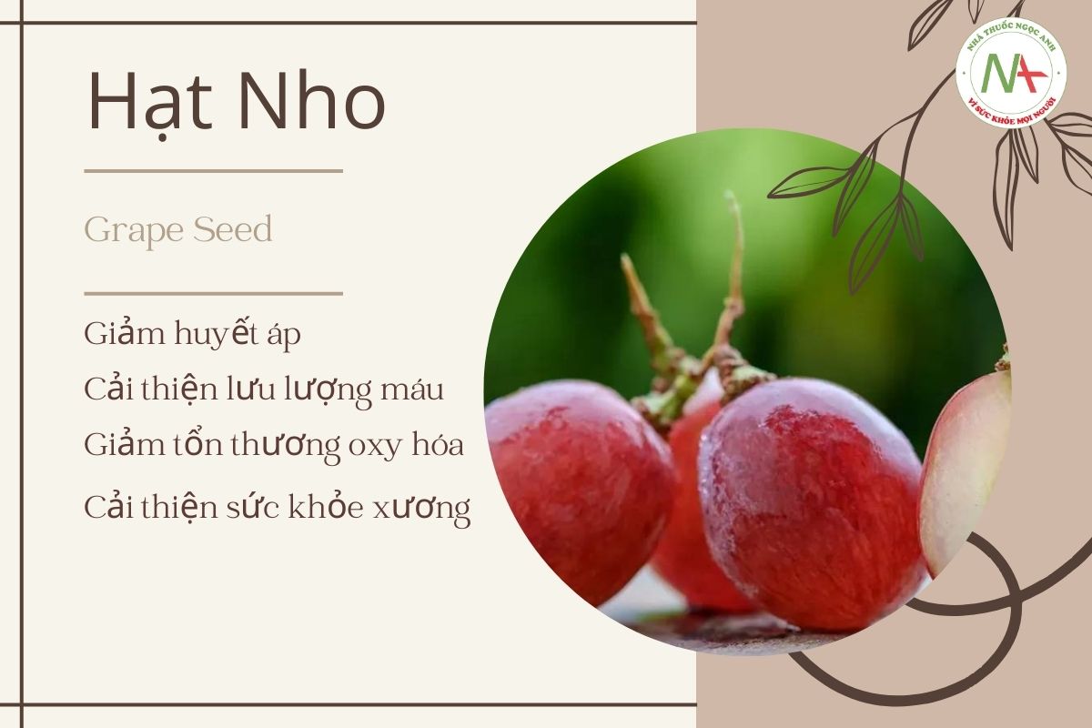 Tác dụng Hạt nho