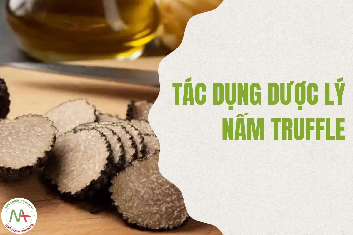 Tác dụng dược lý Nấm Truffle