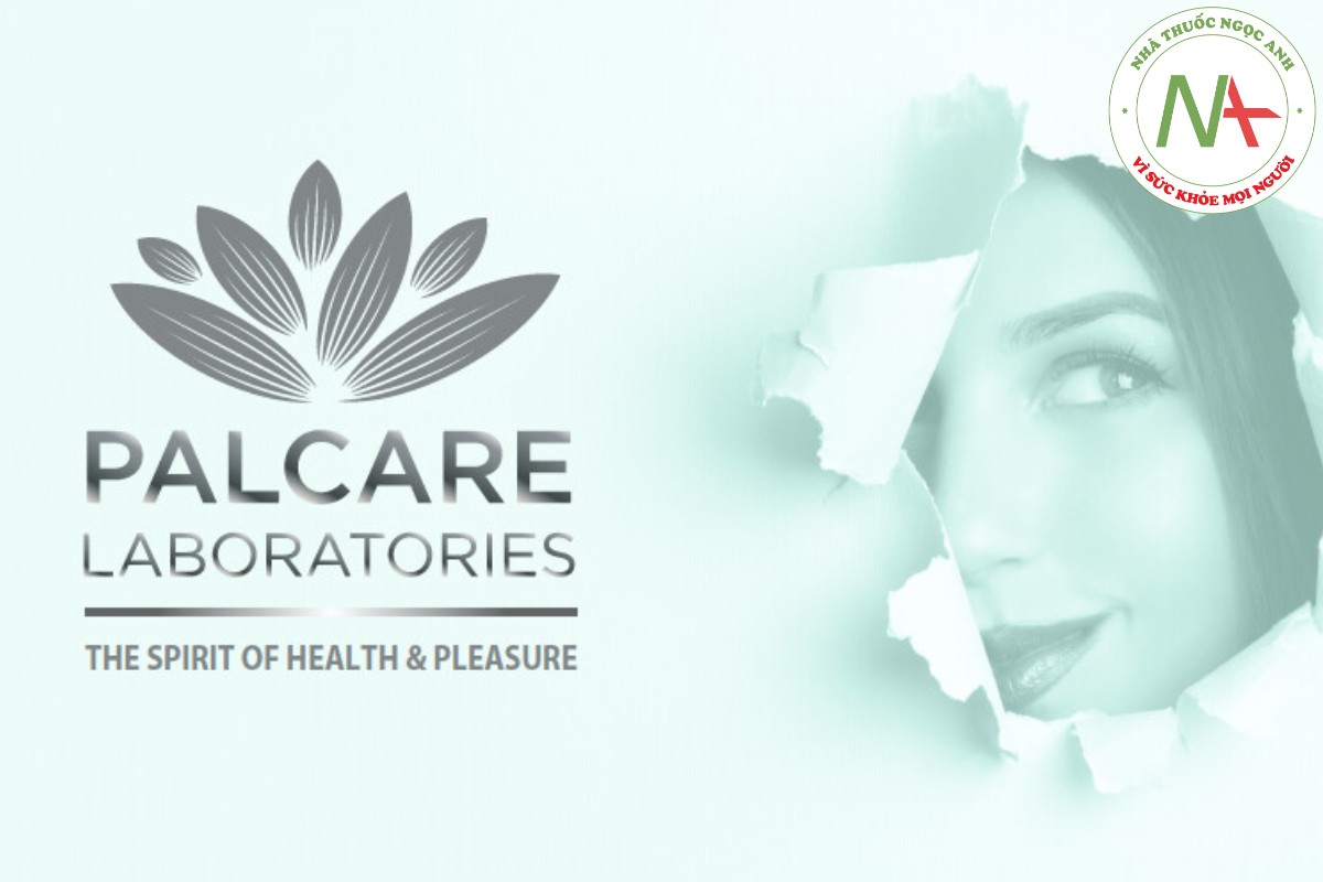 PalCare Enterprises Inc