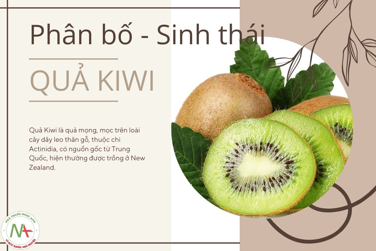 Phân bố - Sinh thái Quả Kiwi