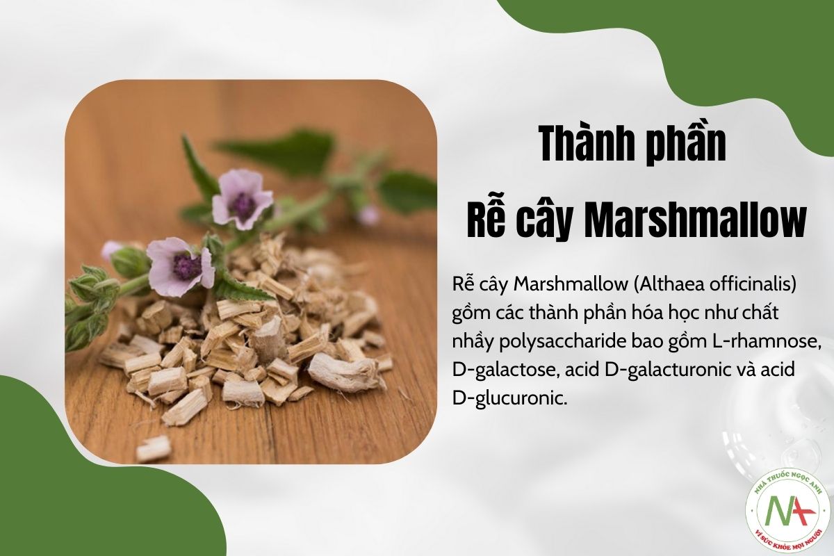 Thành phần hóa học Rễ Marshmallow