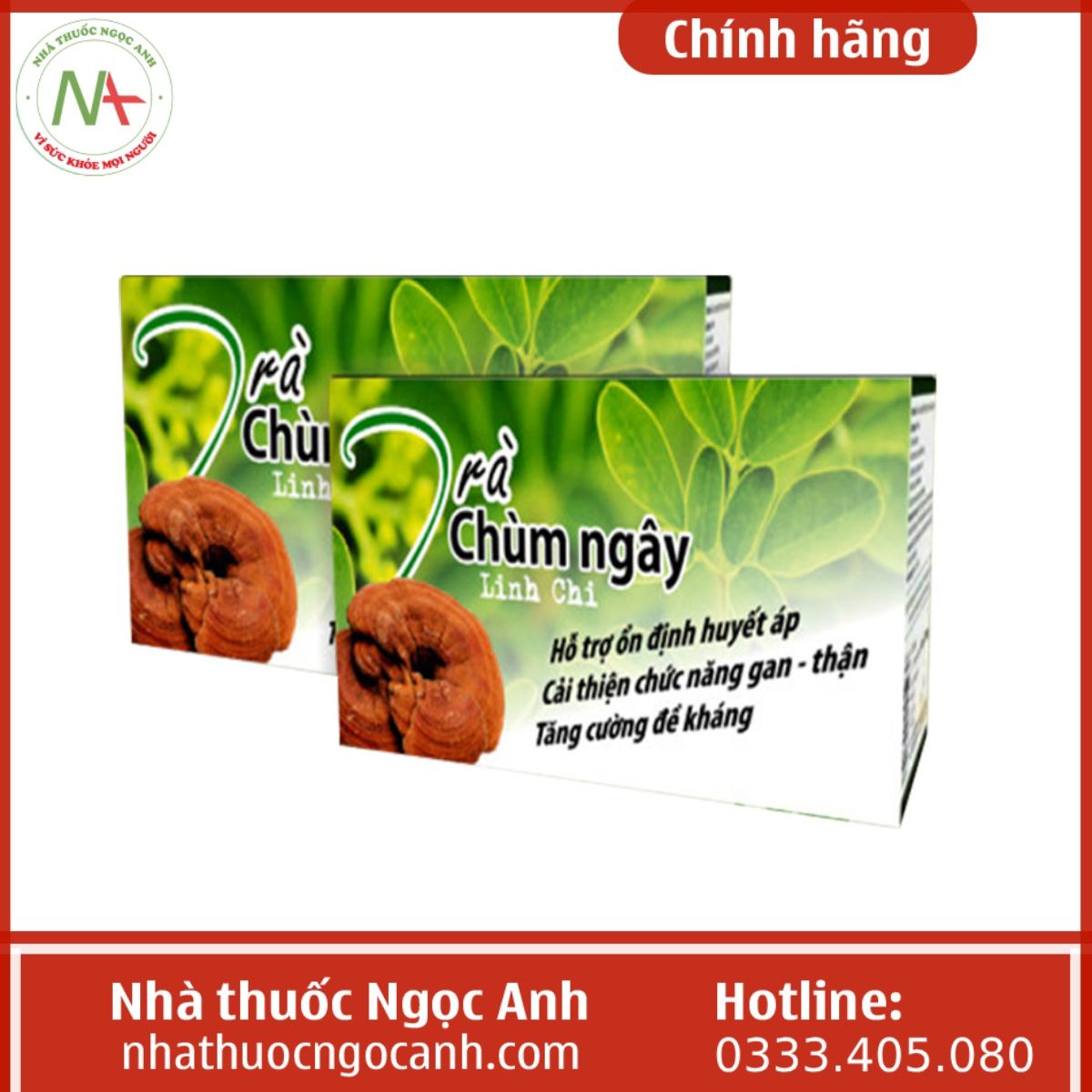 Trà Chùm ngây Linh chi Hạnh Thông