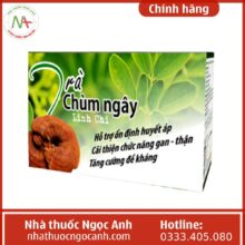 Trà Chùm ngây Linh chi Hạnh Thông