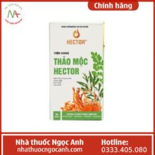 Viên Nang Thảo Mộc Hector